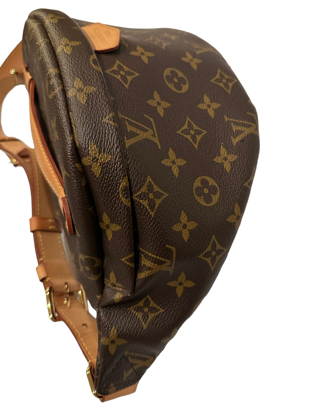 Louis Vuitton Monogram Bumbag