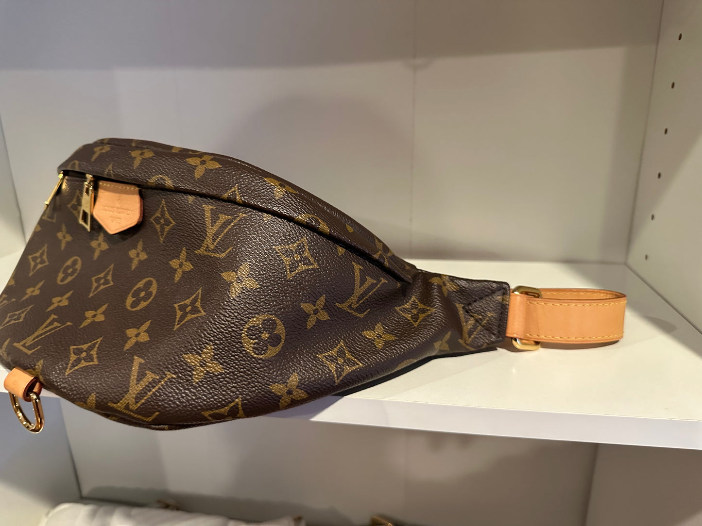 Louis Vuitton Monogram Bumbag,Funnypack